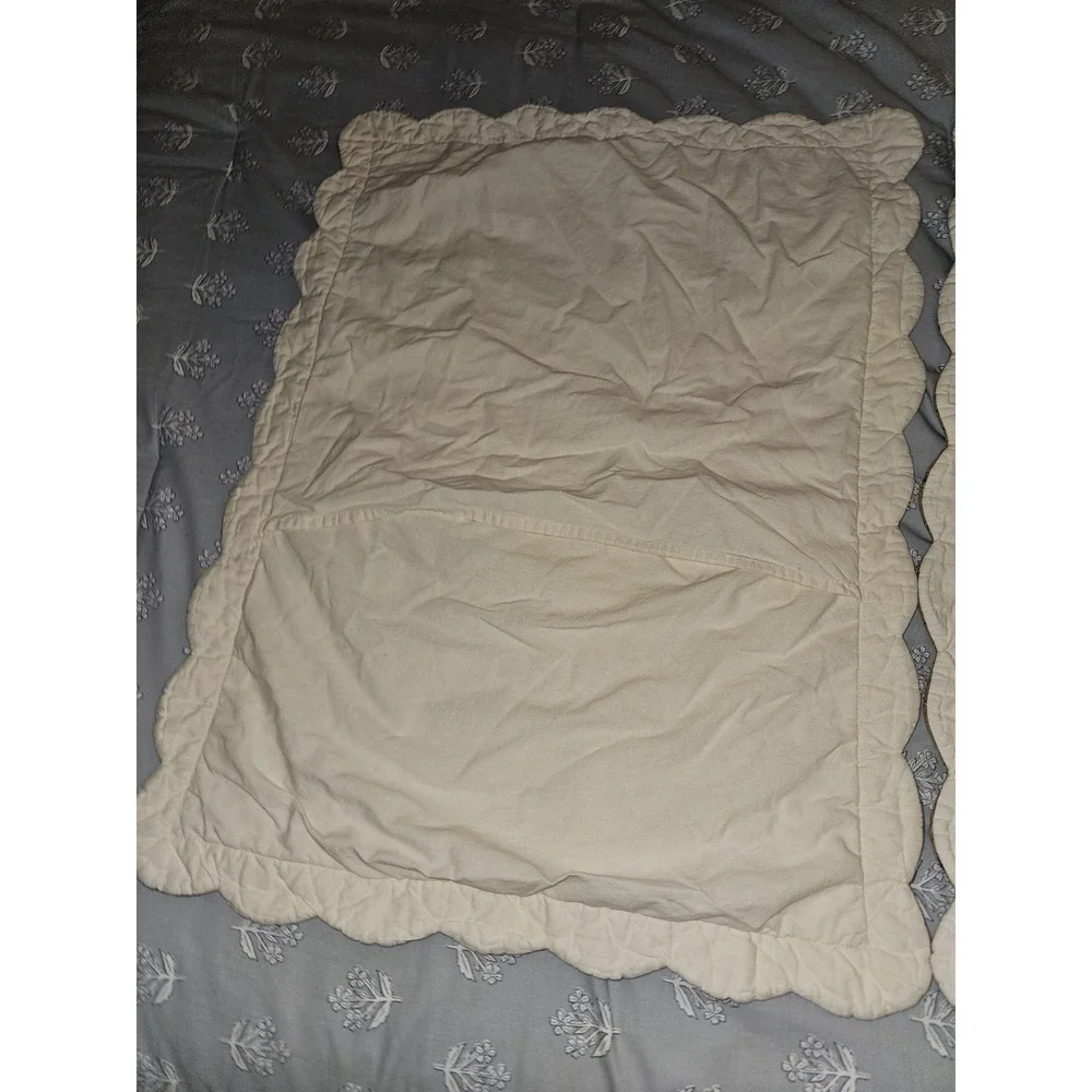 embroidered center medallion quilt  With  a decorative floral and Vines 2 Shams